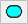 Button Filled Obround